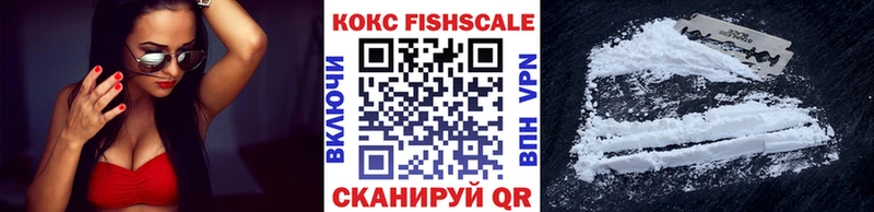 хочу наркоту  ОМГ ОМГ зеркало  КОКАИН Fish Scale  Зеленогорск 