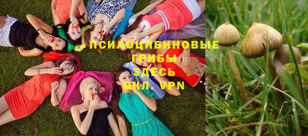 ПСИЛОЦИБИНОВЫЕ ГРИБЫ Пересвет