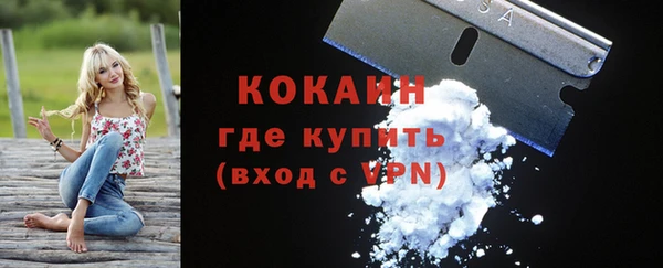 ПСИЛОЦИБИНОВЫЕ ГРИБЫ Пересвет