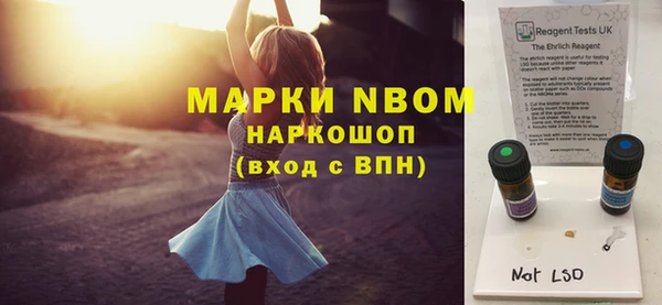 амф Пестово
