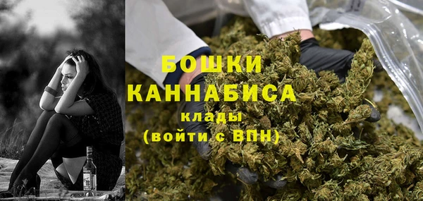 ПСИЛОЦИБИНОВЫЕ ГРИБЫ Пересвет