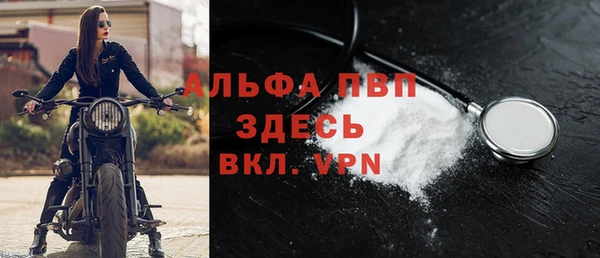 амф Пестово