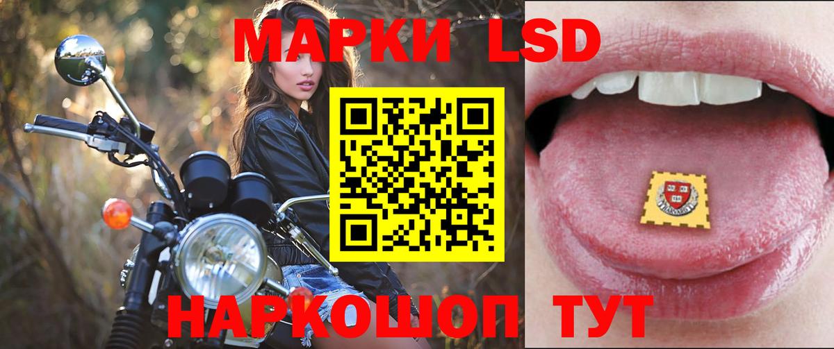MEGA ссылка  Вход с VPN  Зеленогорск  LSD-25 экстази кислота 